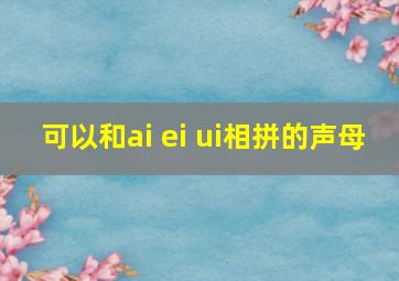 可以和ai ei ui相拼的声母